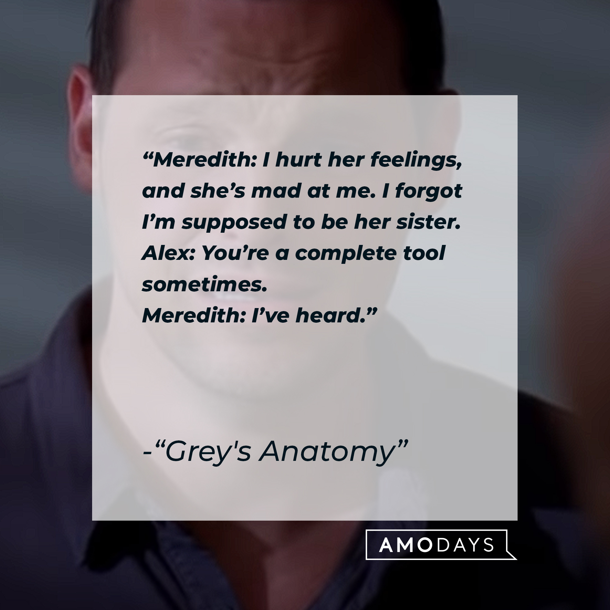 Quote from “Grey’s Anatomy”: “Meredith: I hurt her feelings, and she’s mad at me. I forgot I’m supposed to be her sister. Alex: You’re a complete tool sometimes. Meredith: I’ve heard.” | Source: youtube.com/ABCNetwork