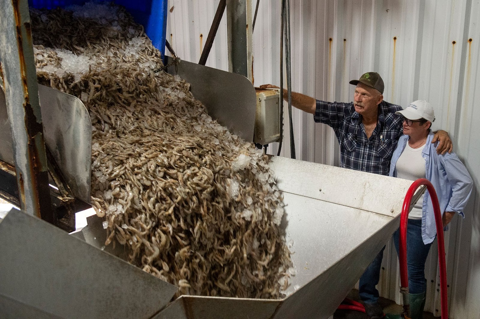 Factory managers unloading a carton of shrimp to be processed. | Source: Getty Images