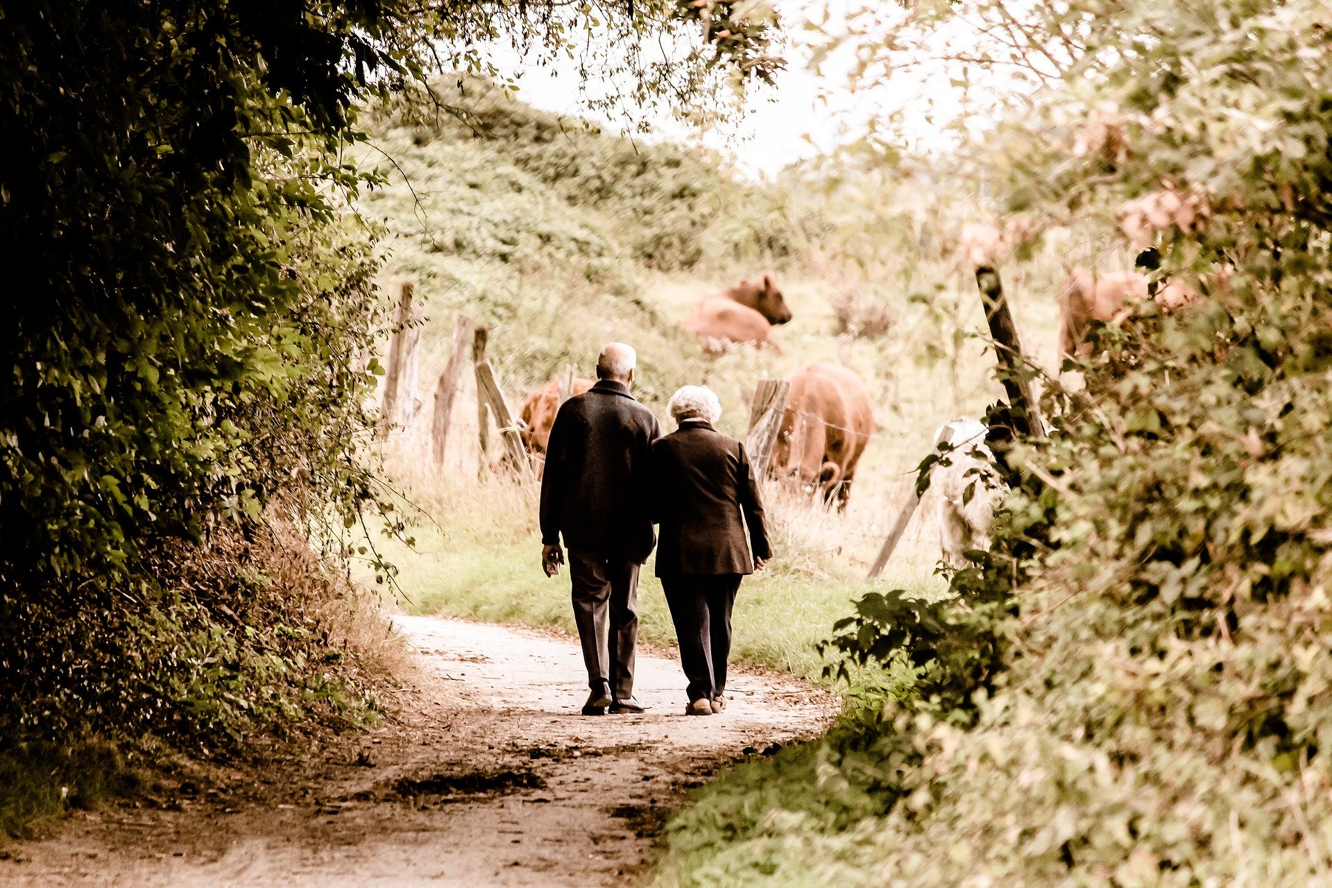 Un couple de personnes âgées marchant vers une zone herbeuse. | Source : Pixabay
