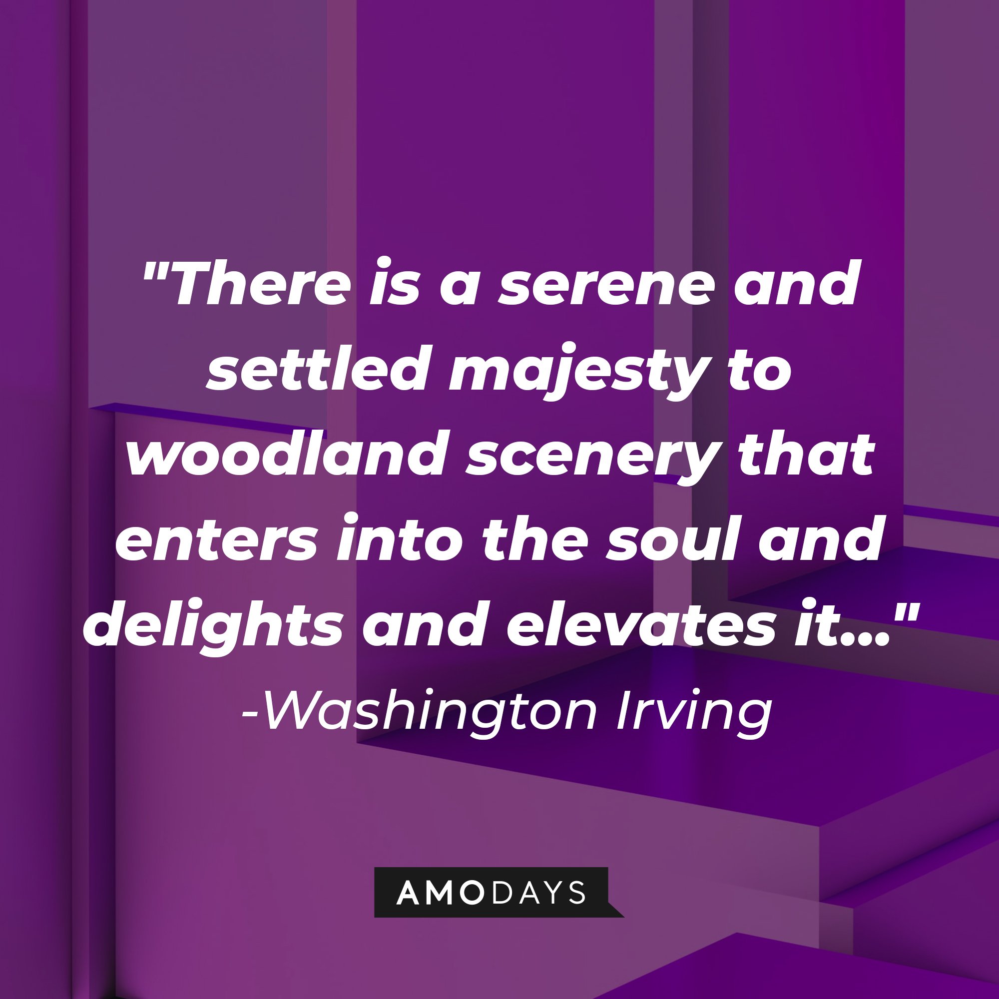 Washington Irving’s quote: "There is a serene and settled majesty to woodland scenery that enters into the soul and delights and elevates it…" | Image: AmoDays