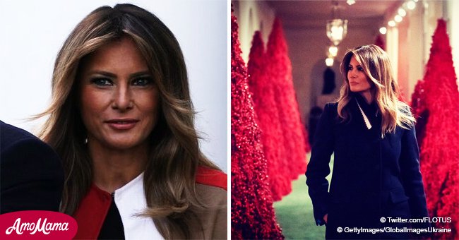 Melania Trump calls red Christmas trees 'fantastic' inviting fans to see them in real life