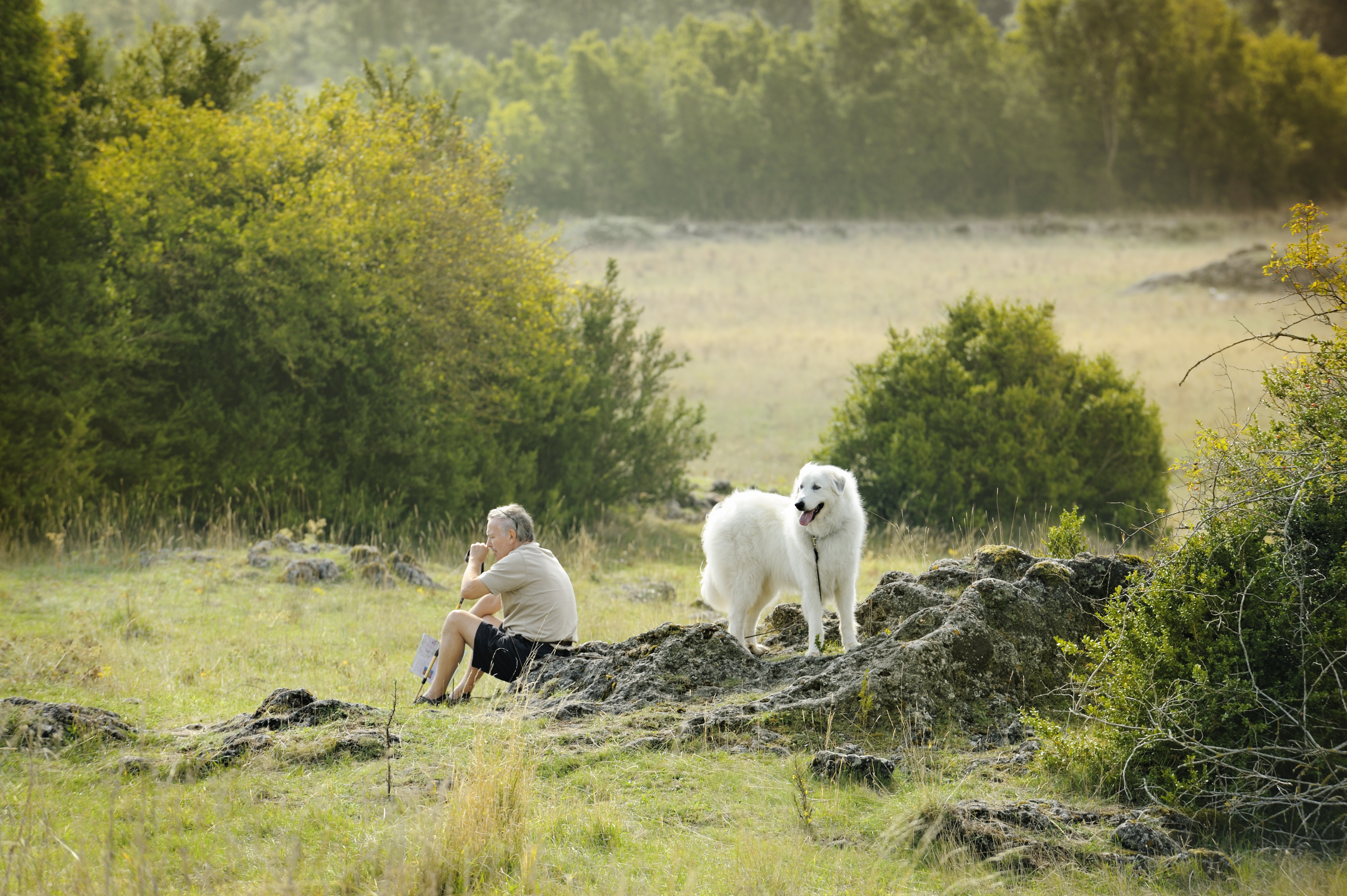 Um homem com grandes Pirineus | Fonte: Getty Images