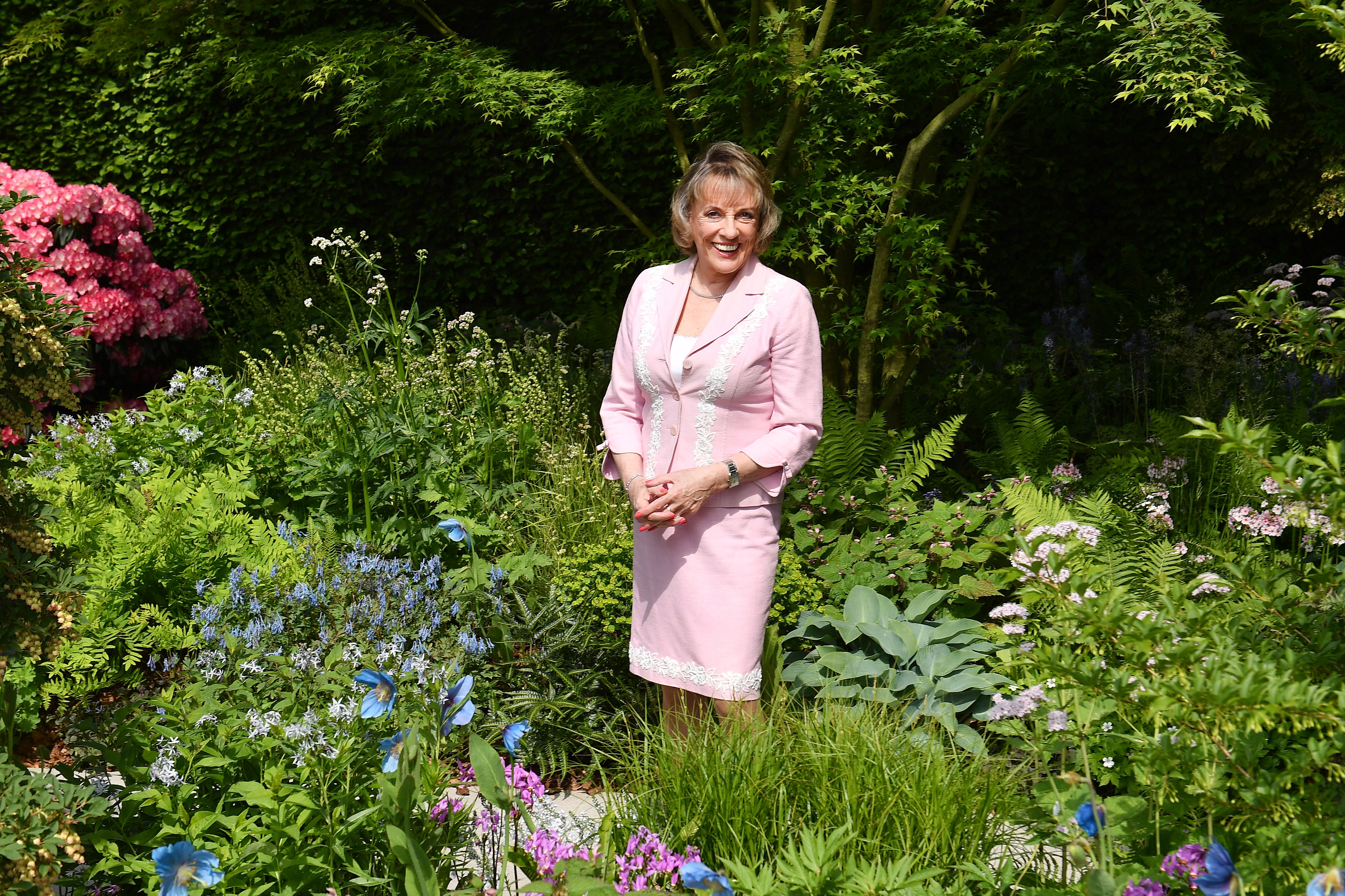 Dame Esther Rantzen at the Chelsea Flower Show 2018 on May 21 in London, England. | Source: Getty Images
