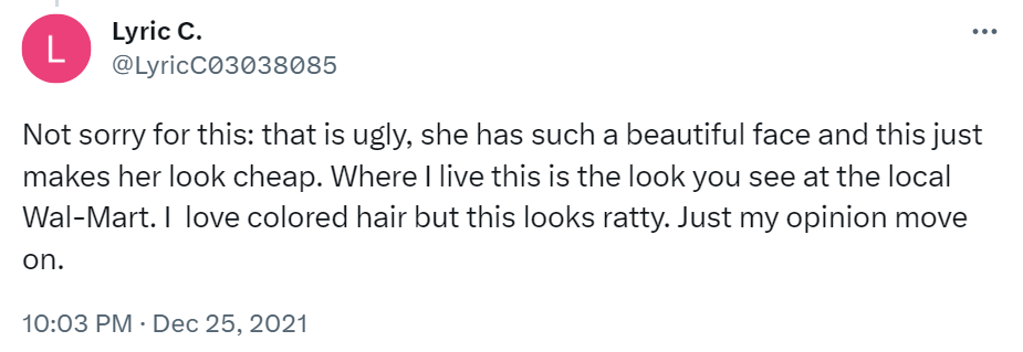 A fan's comment on Pauley Perrette's November 10, 2021, Twitter post | Source: Twitter/Pauley Perrette