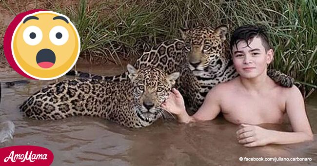 Voici la vérité derrière la photo virale d'un enfant jouant avec deux jaguars