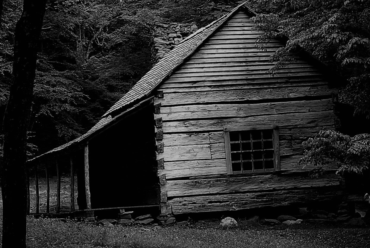 Moments later, Justin followed the old lady to an abandoned cabin in the woods. | Source: Unsplash