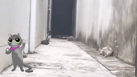Source: Youtube/Super Cat