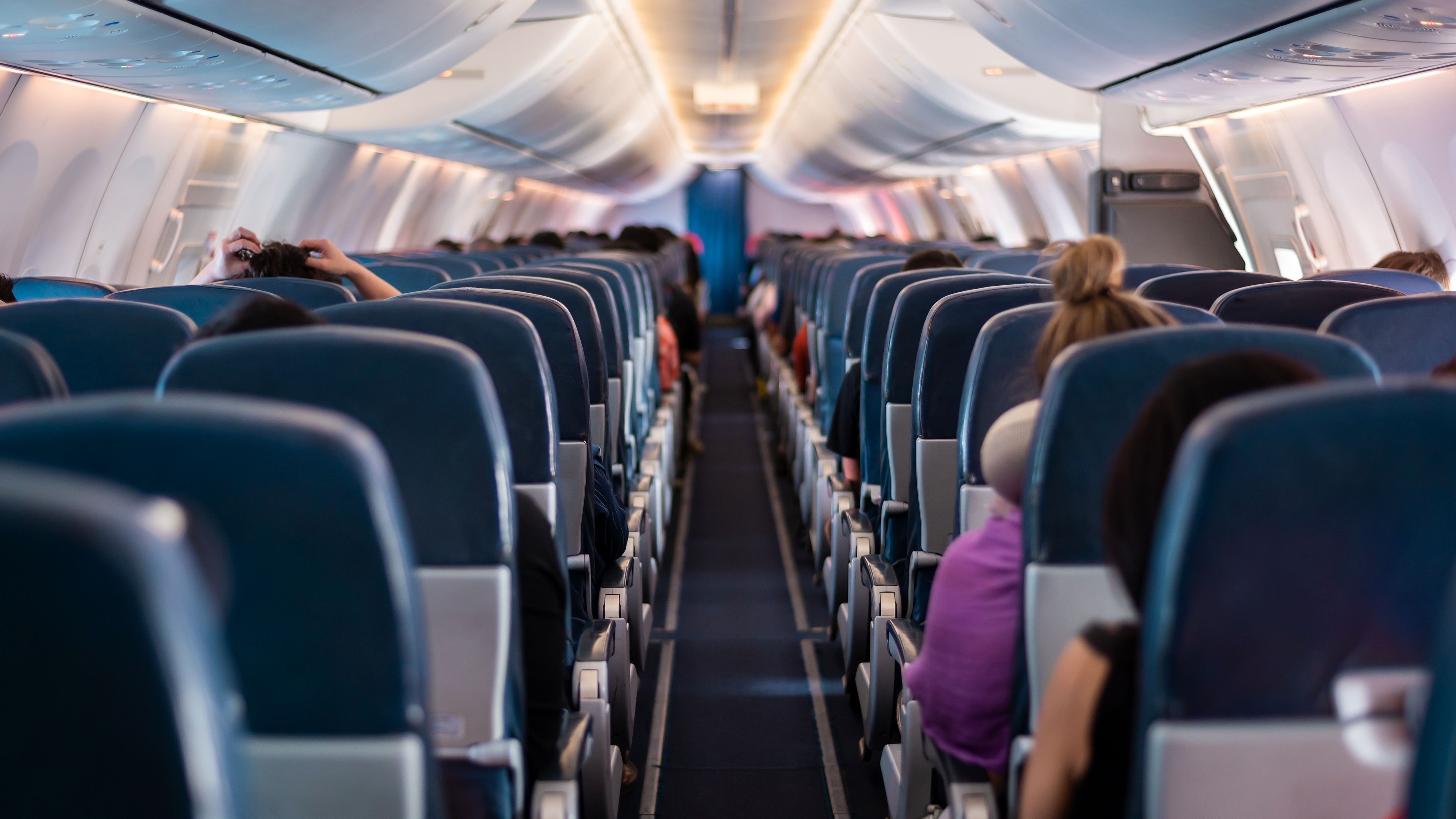 Airplane seats | Source: Shutterstock