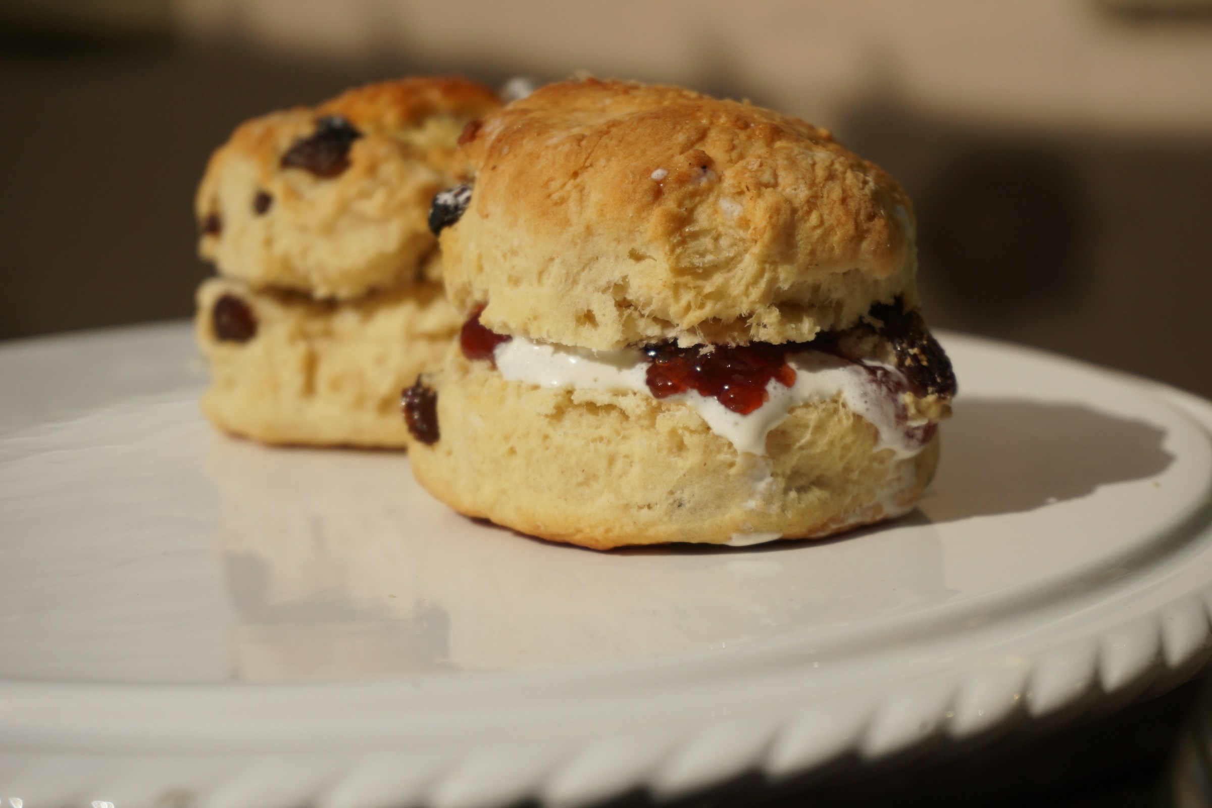 Fresh scones on a plate | Source: Unsplash