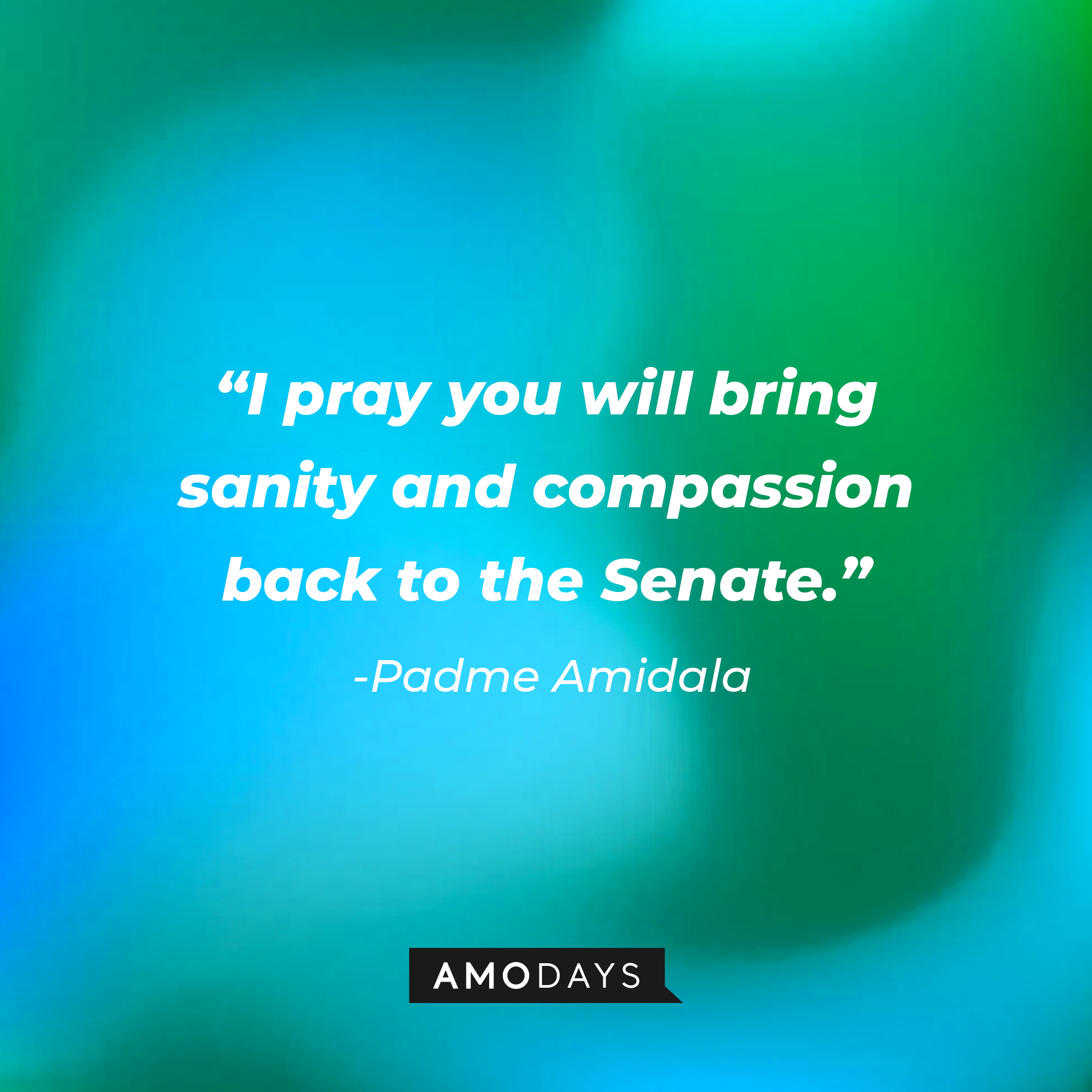 Padme Amidala's quote: "I pray you will bring sanity and compassion back to the Senate." | Source: AmoDays