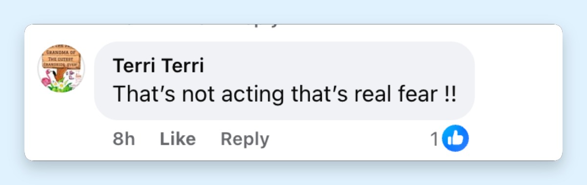 A netizen comment to Melania Trump's reaction at the White House Correspondents' Dinner | Source: Facebook/Mirror US