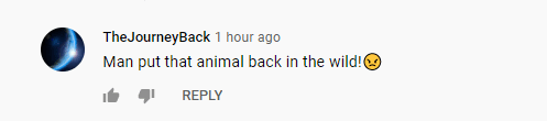 A fan's comment on a video of the tiger Diddy gifted to Pierre Thomas. | Source: YouTube.com/ALL URBAN CENTRAL