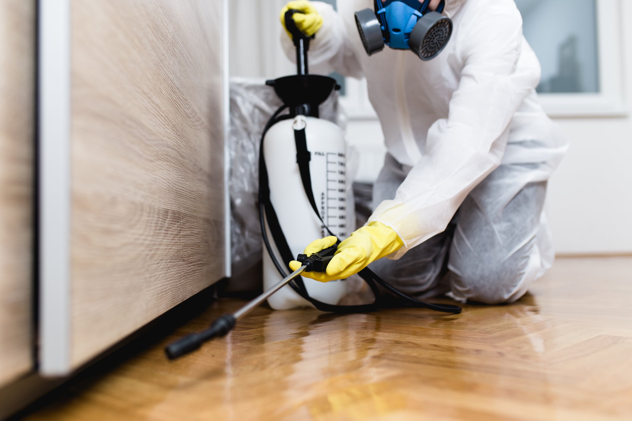 Foto eines Kammerjägers in Arbeitskleidung, der Pestizide oder Insektizide mit einem Sprühgerät versprüht | Quelle: Getty Images