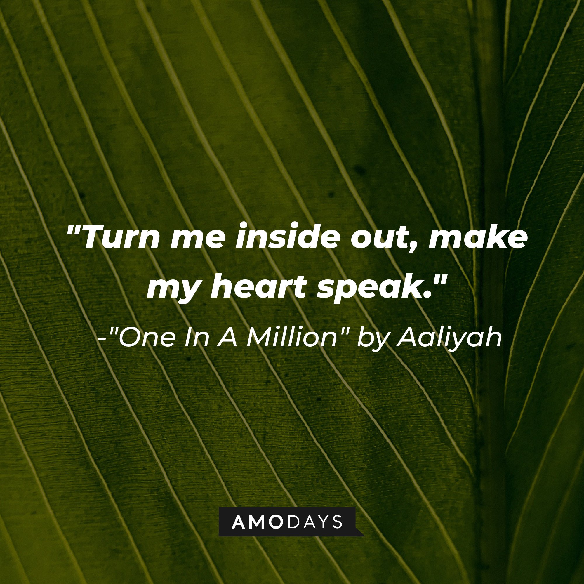 Aaliyah’s quote from "One In a Million": "Turn me inside out, make my heart speak." | Image: AmoDays