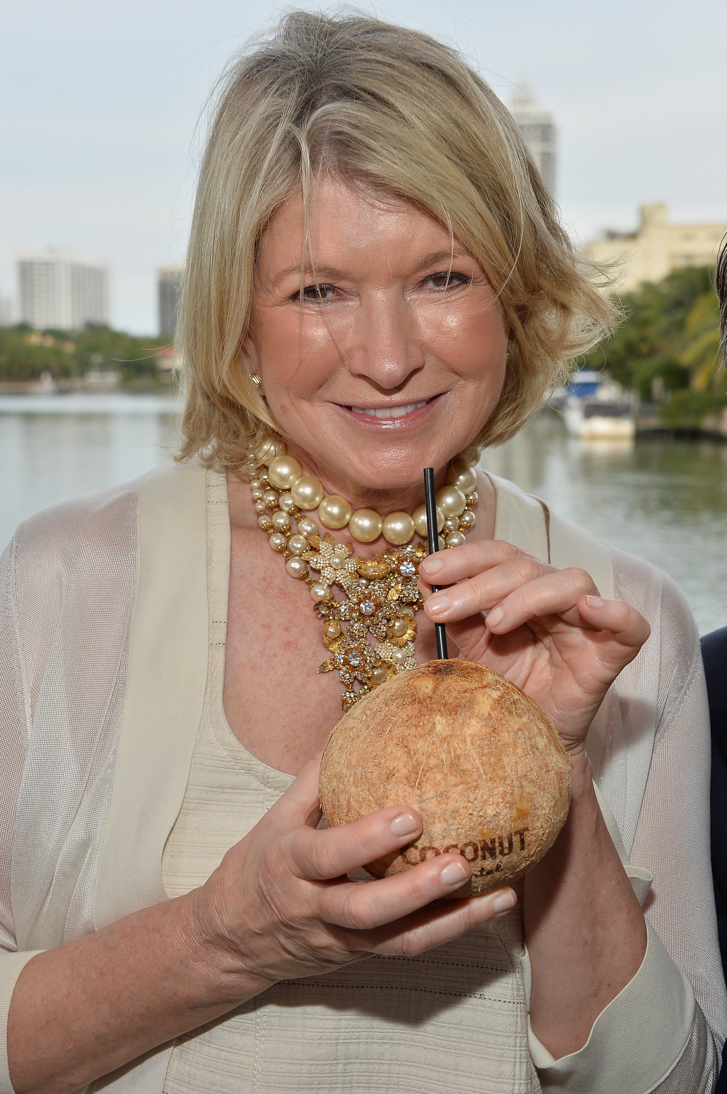 Martha Stewart Celebrates South Beach Wine and Food Festival with DuJour Magazine's Jason Binn and Lee Brian Schrager at The Ritz-Carlton Miami Beach Residences on February 21, 2014, in Miami Beach, Florida. | Source: Getty Images