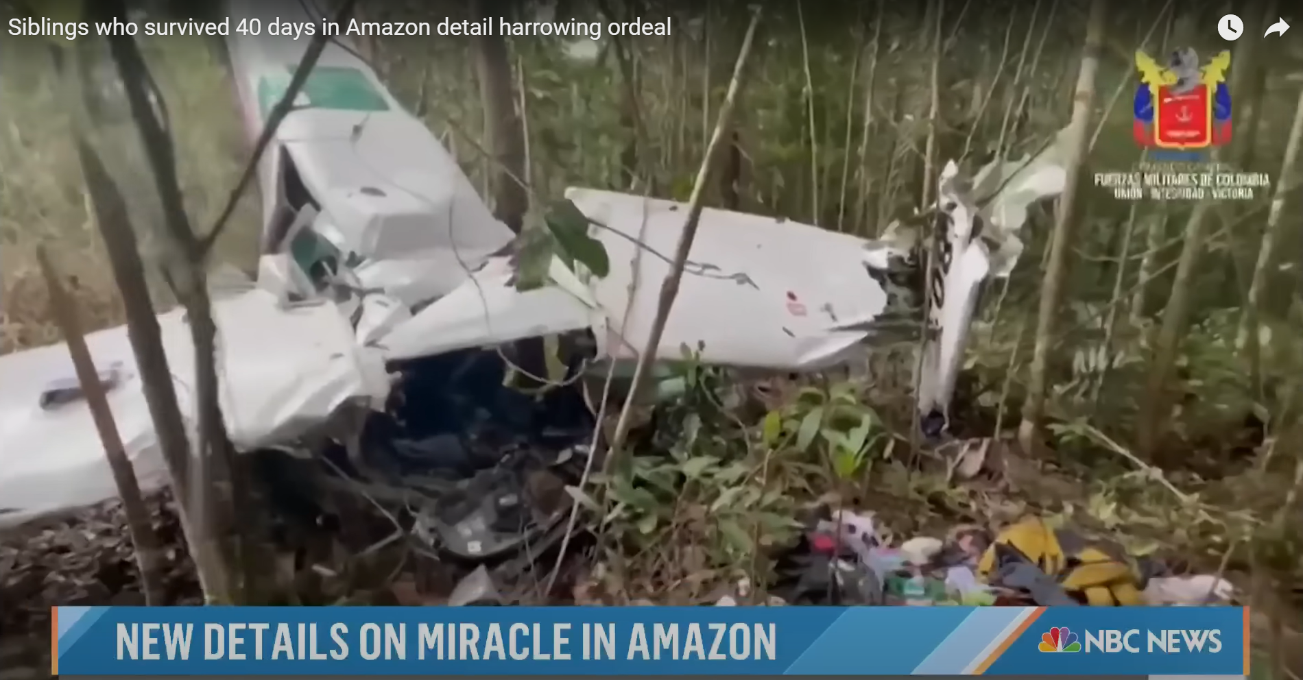 The Cessna 206 aircraft wreckage that was found in the Amazonas' Araracuara in May 2023 | Source: YouTube/TODAY