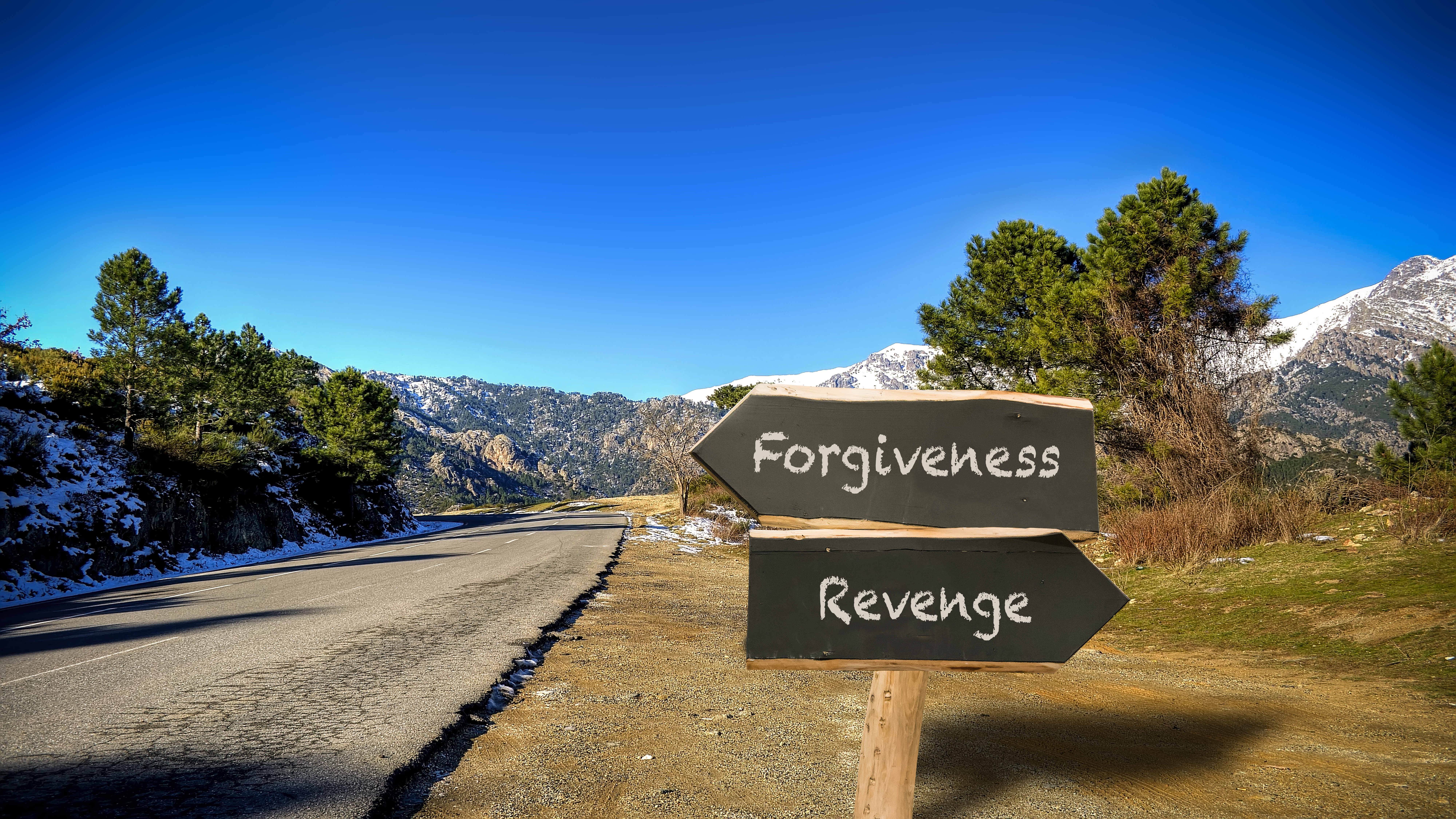 Road signs labelled "Forgiveness" and "Revenge" | Source: Shutterstock
