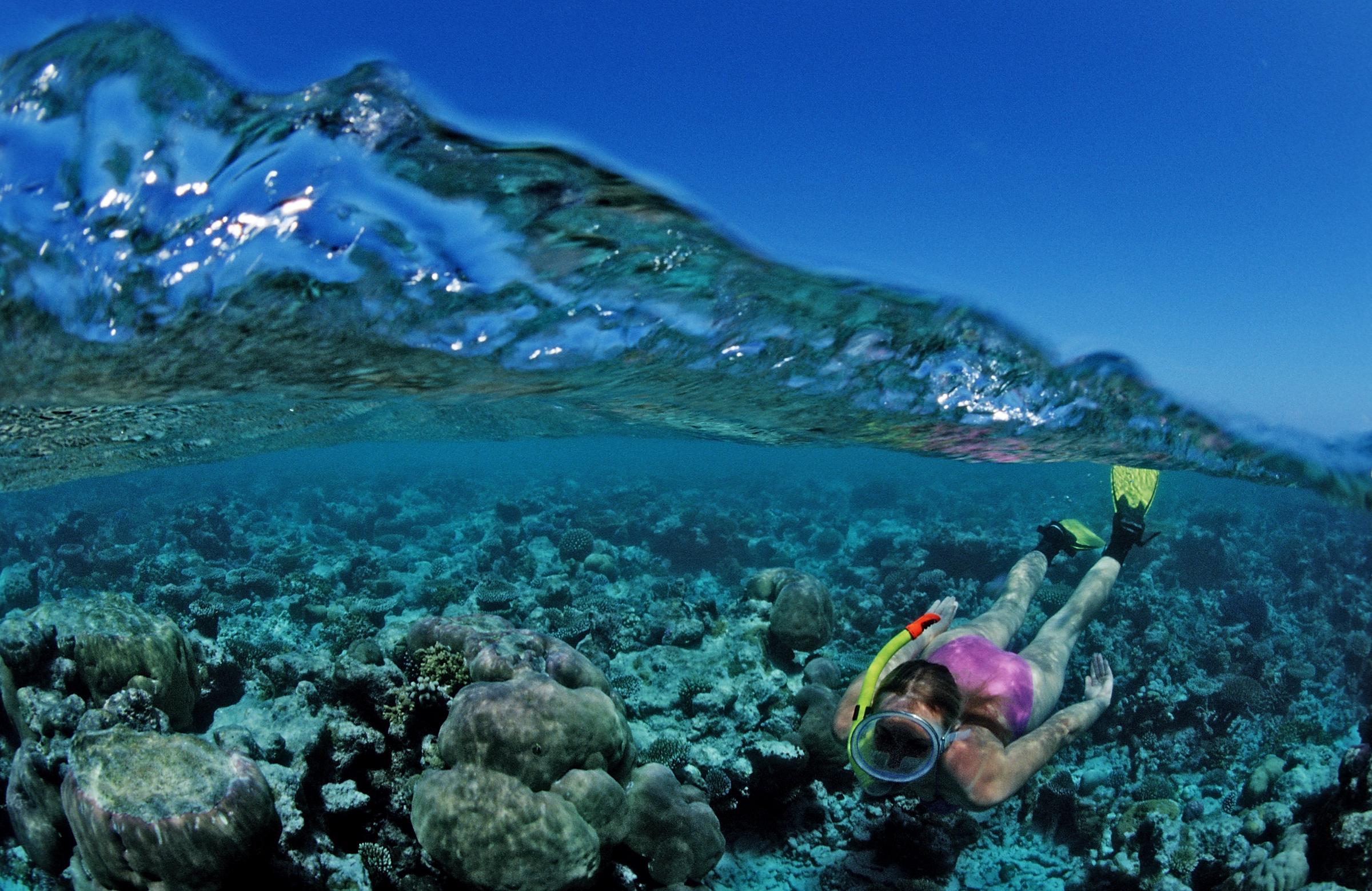 For illustration purposes: Snorkeling over Coral Reef in the Maldives, Indian Ocean