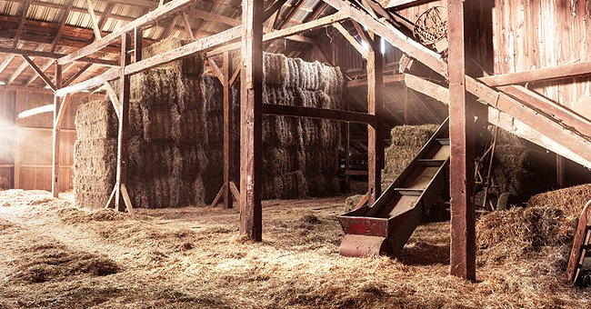 A picture of a farm barn | Photo: Shutterstock