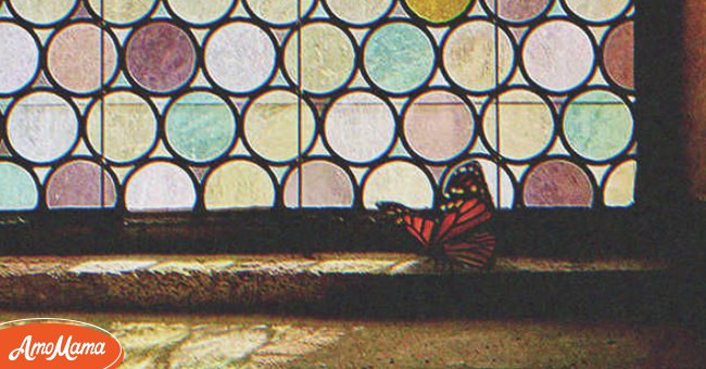 OP spots a butterfly in the church | Photo: Shutterstock