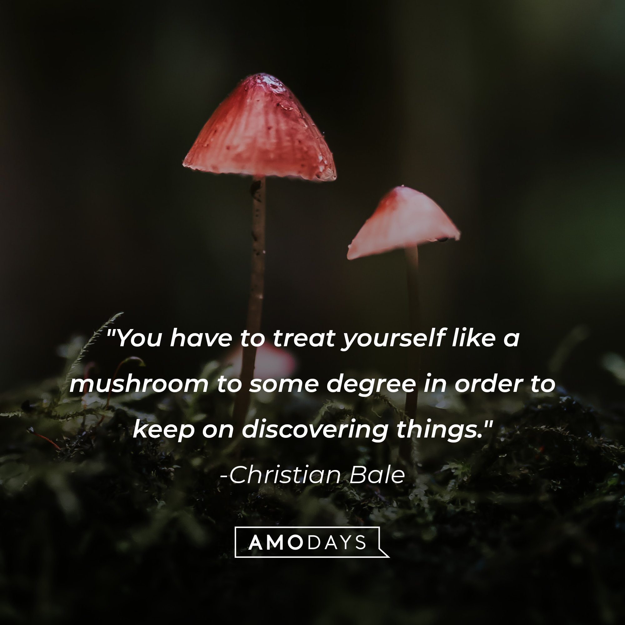 Christian Bale’s quote: "You have to treat yourself like a mushroom to some degree in order to keep on discovering things." | Image: AmoDays