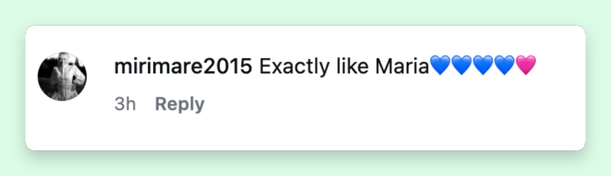 Netizens started comparing Heather Milligan to Maria Shriver. This is a comment dated June 16, 2026 | Source: Instagram/page six