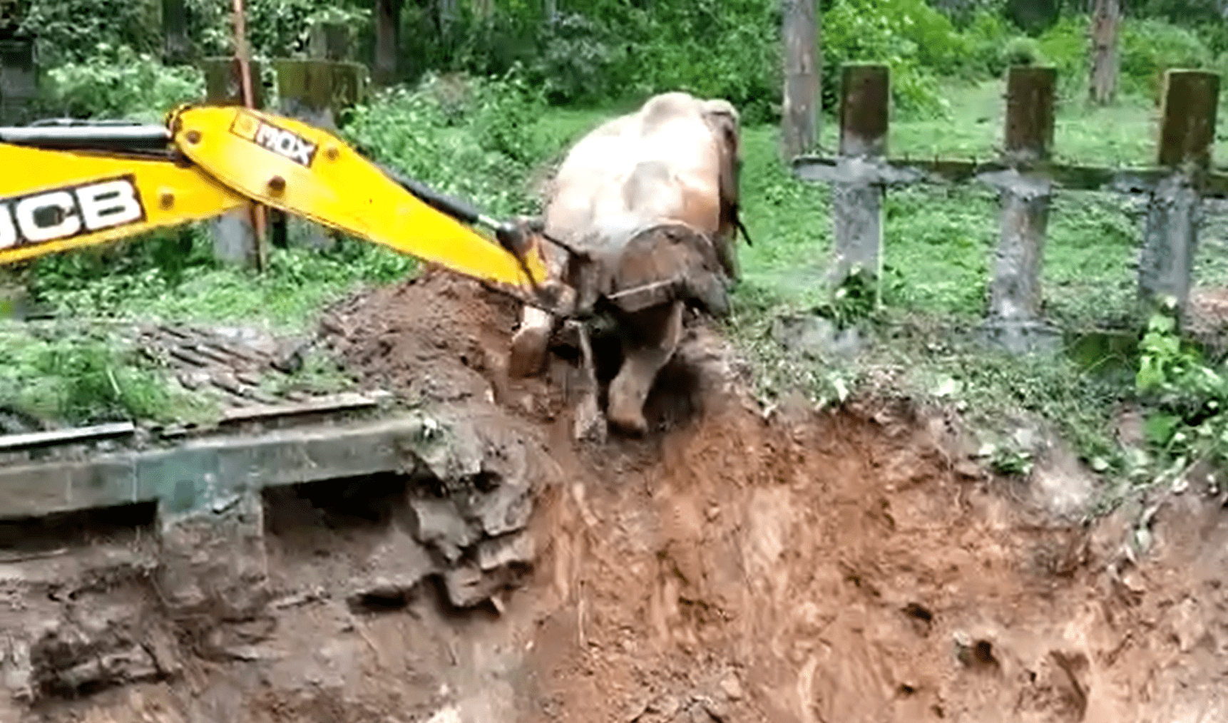 Baby elephant being pushed out of a deep pit with the use of a crane arm.  │Source:  twitter.com/SudhaRamenIFS