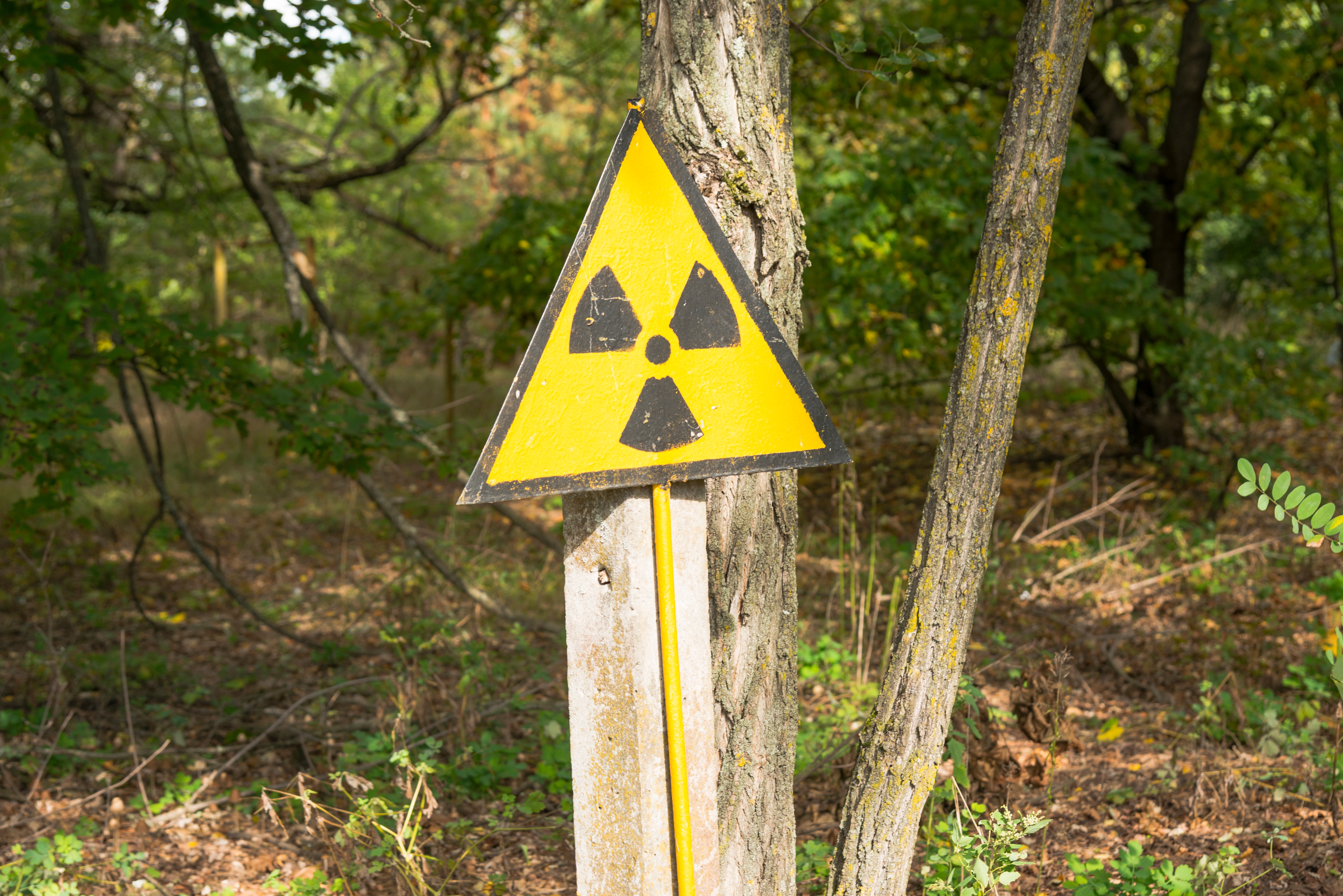 A warning sign pointing to a radiation-contaminated territory. | Source: Shutterstock