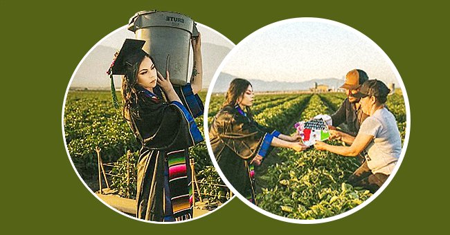 https://www.facebook.com/UCSanDiego