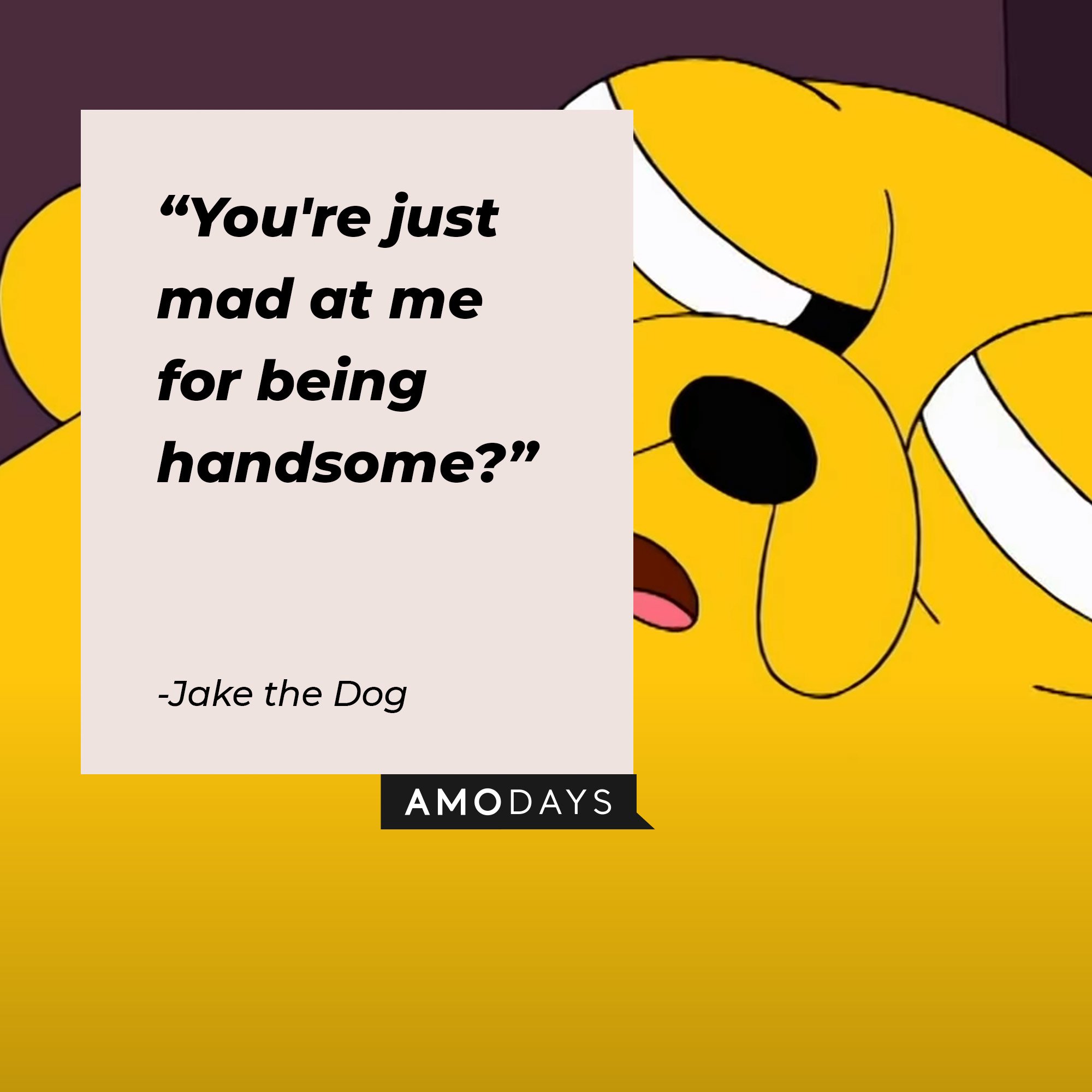  Jake the Dog’s quote: "You're just mad at me for being handsome?" Image: AmoDays
