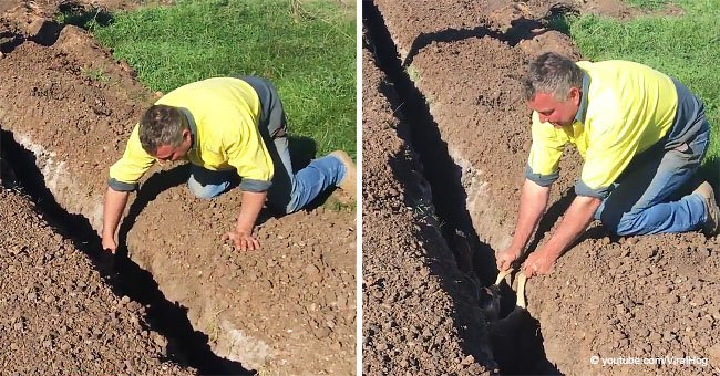 Des ouvriers ont trouvé deux pattes sortant d'un fossé et se sont précipités pour aider