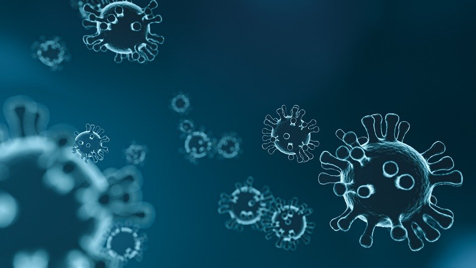 Virus magnified under microscope. | Pixabay 