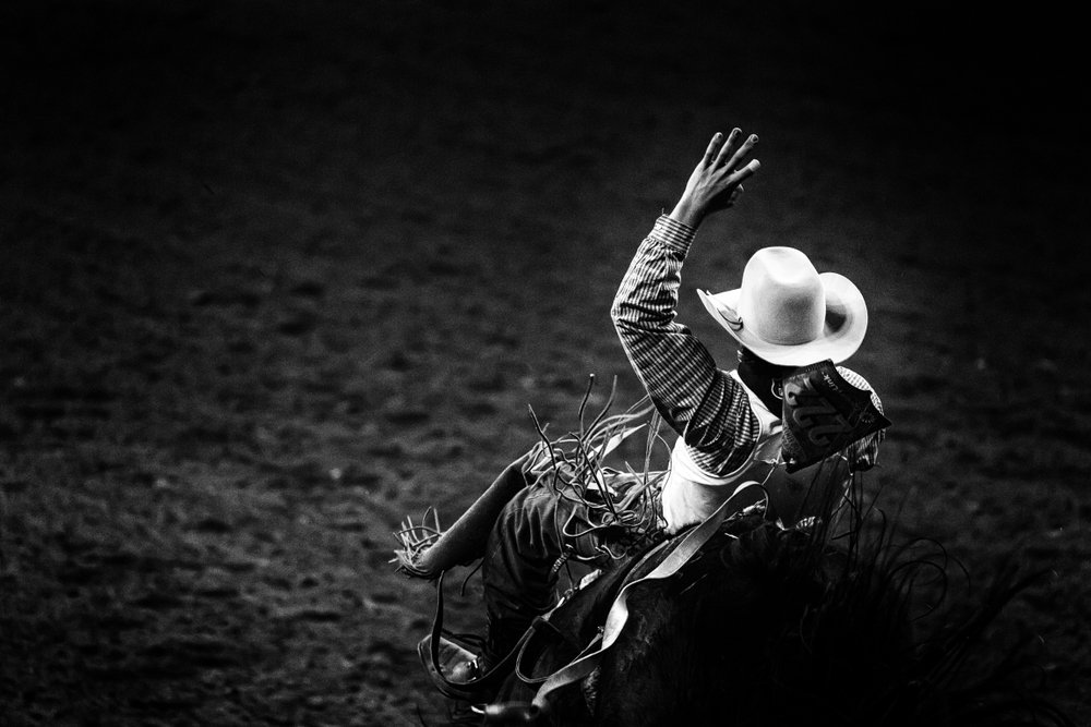 A monochrome rodeo cowboy in a white hat riding a bronco | Photo: Shutterstock/Quattrophotography