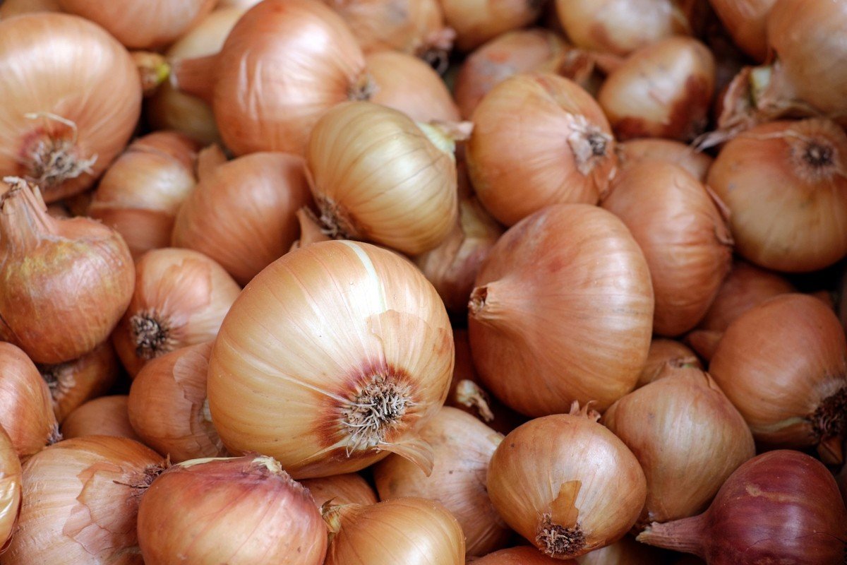 Oignons. | Image : PxHere Oignons. | Image : PxHere