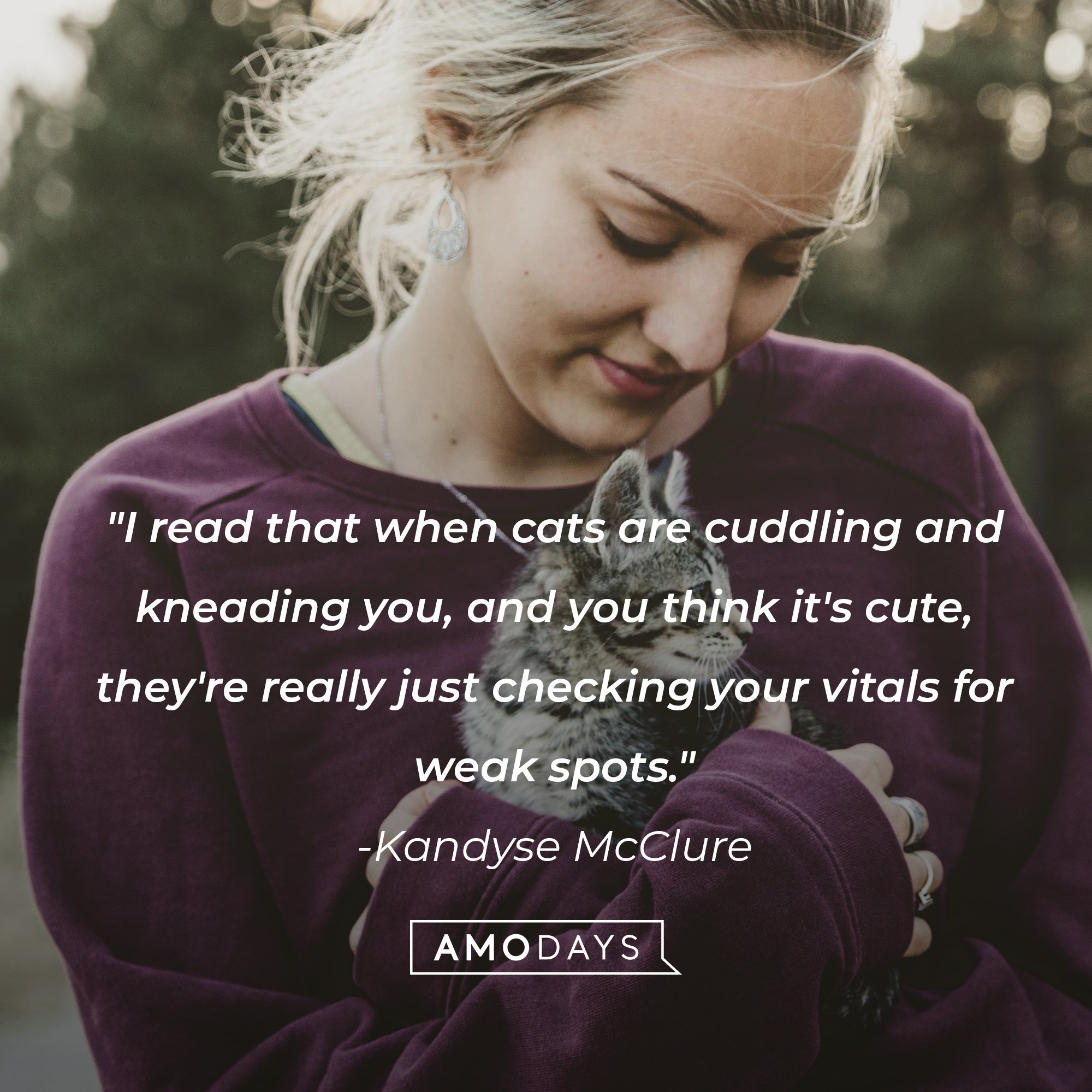 Kandyse McClure's quote: "I read that when cats are cuddling and kneading you, and you think it's cute, they're really just checking your vitals for weak spots." | Image: AmoDays