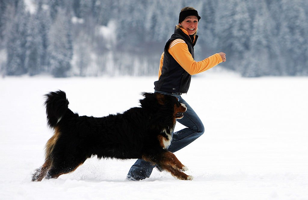 Image Credit: Getty Images Image Credit: Getty Images