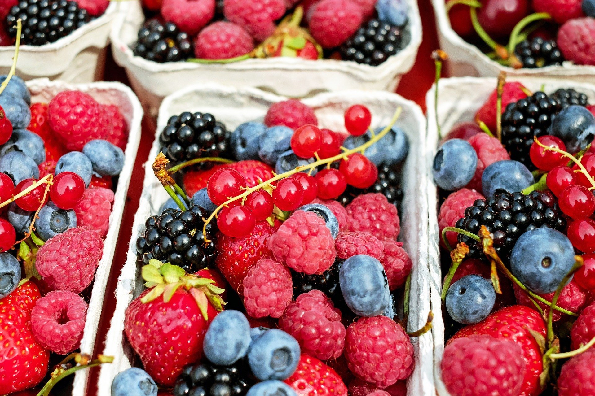 Des fruits. | Photo : Getty Images
