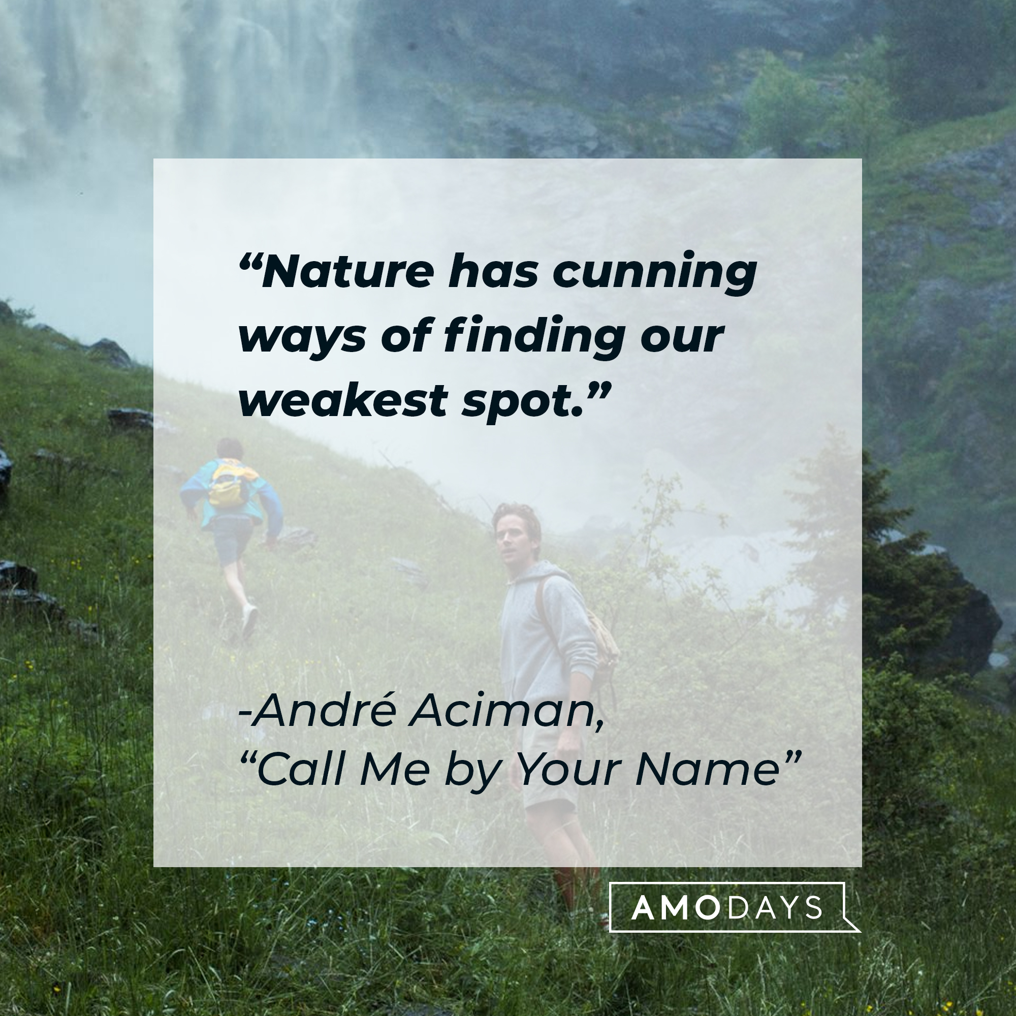 Characters Elio and Oliver from the film “Call Me By Your Name,” with a quote by the author, André Aciman, from the book it’s based on: Nature has cunning ways of finding our weakest spot.” | Source: Facebook.com/CallMeByYourNameFilm