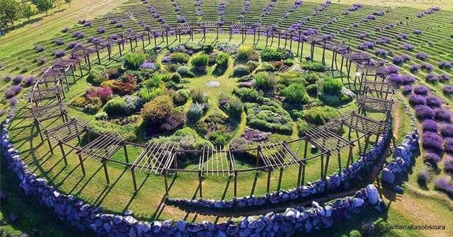 There's a Giant Lavender Labyrinth in Michigan and It's Absolutely Gorgeous