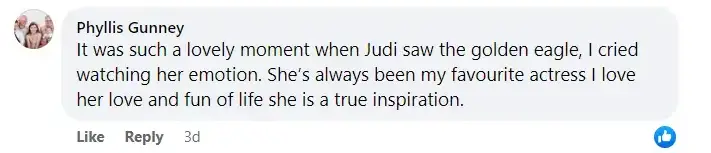 A screenshot of a comment from a fan sharing their reaction to Judi Dench's emotional encounter with golden eagles while expressing admiration for the beloved actress. | Source: facebook.com/stvnews
