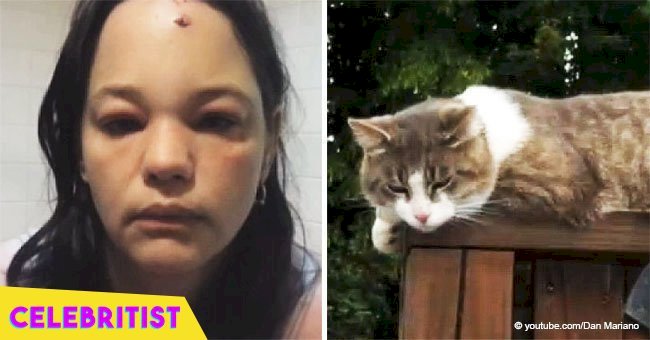 Cat gets revenge on woman who was kicking snow at his face