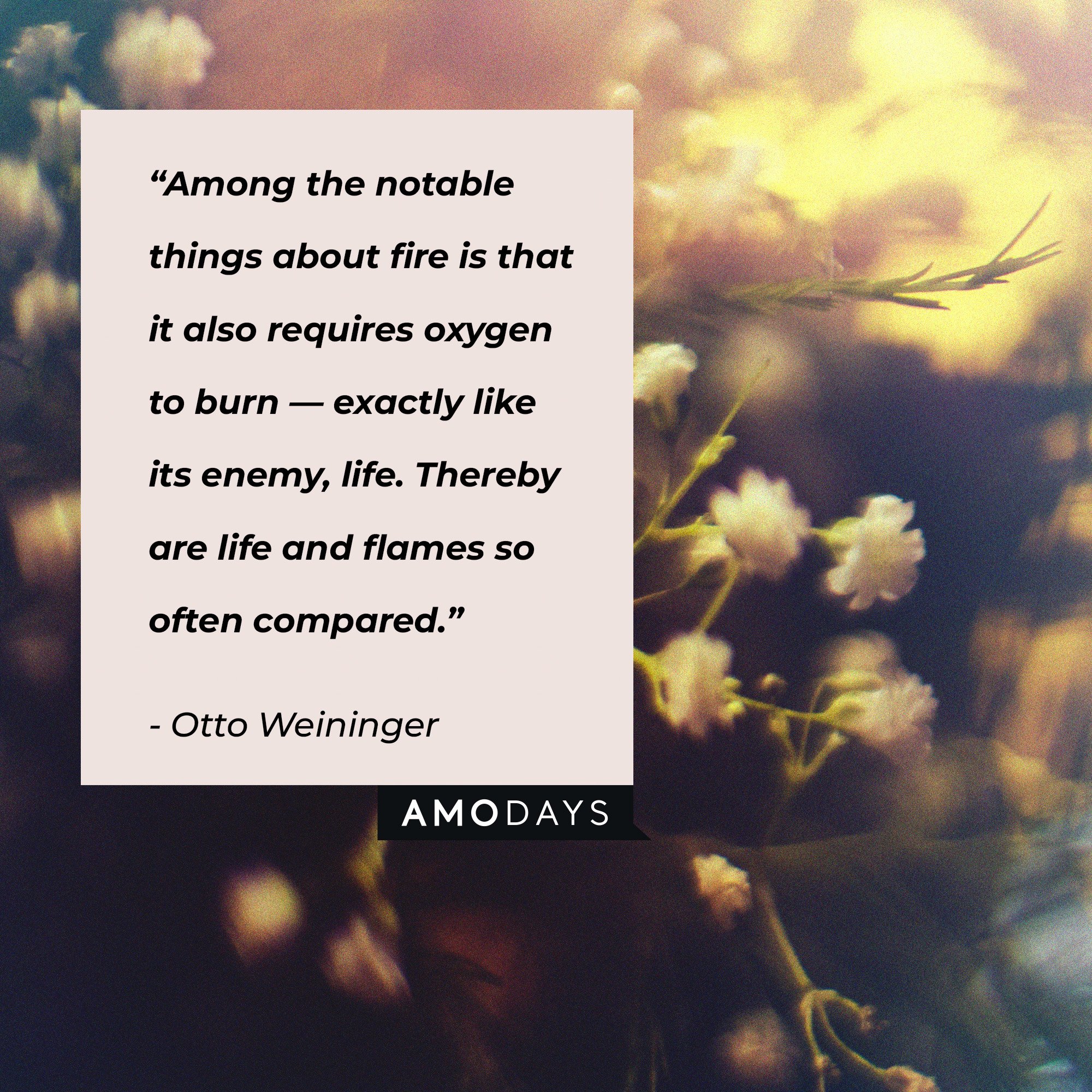 Otto Weininger's quote: “Among the notable things about fire is that it also requires oxygen to burn — exactly like its enemy, life. Thereby are life and flames so often compared.” | Image: AmoDays
