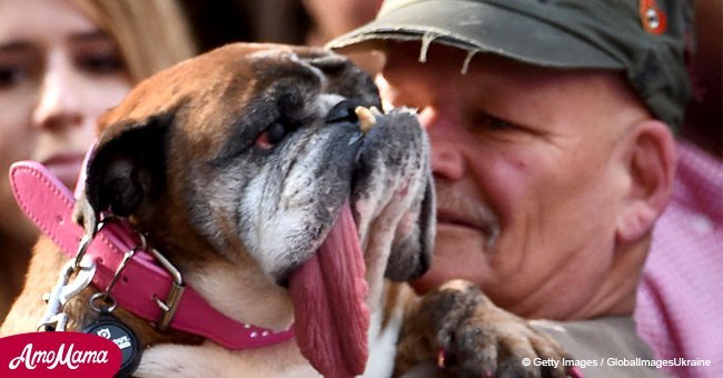 'The World's Ugliest Dog' has died just 9 days after securing her title