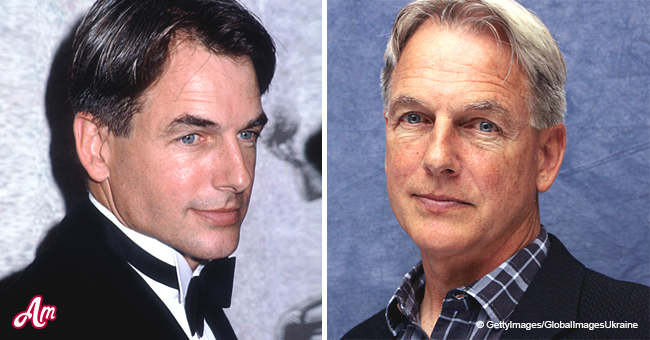 Mark Harmon’s Best Roles In Film And Television