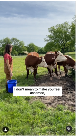 Jennifer Garner feeding cows | Source: Instagram.com/jennifer.garner/