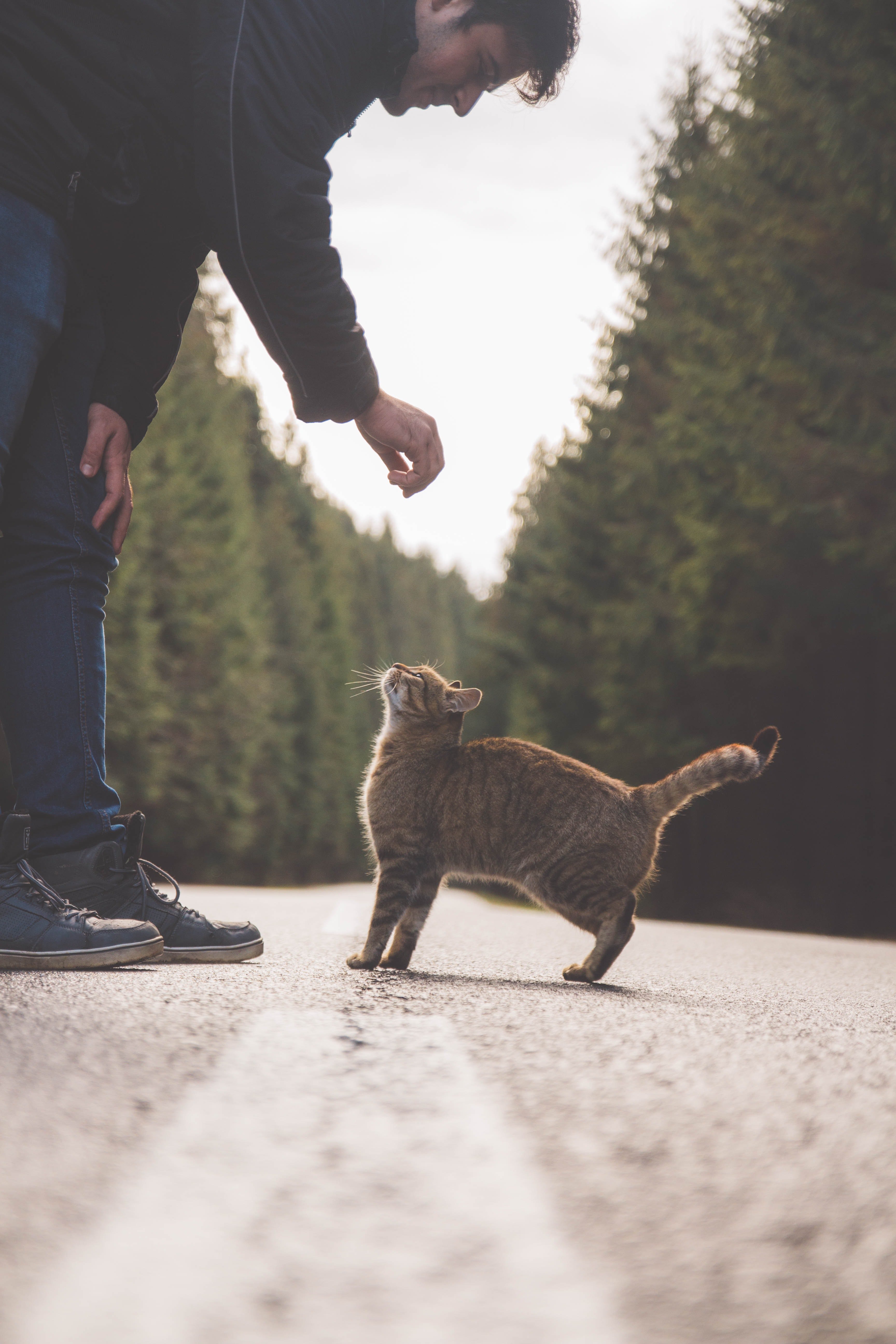 A man with a cat in the road. | Photo: Pexels