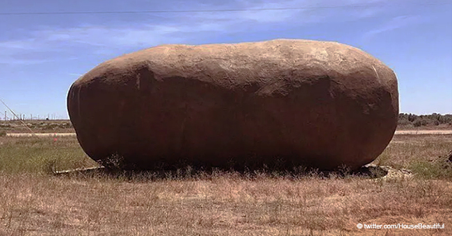 This Giant Potato Is Rented Out and Anyone Can Spend the Night Inside