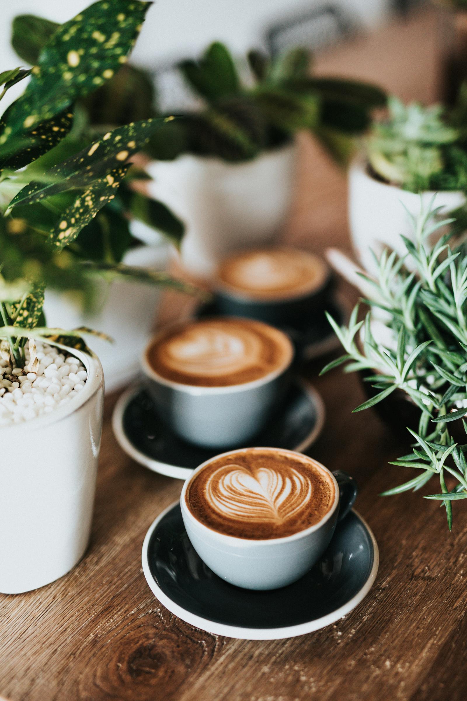 Several cups of coffee | Source: Unsplash