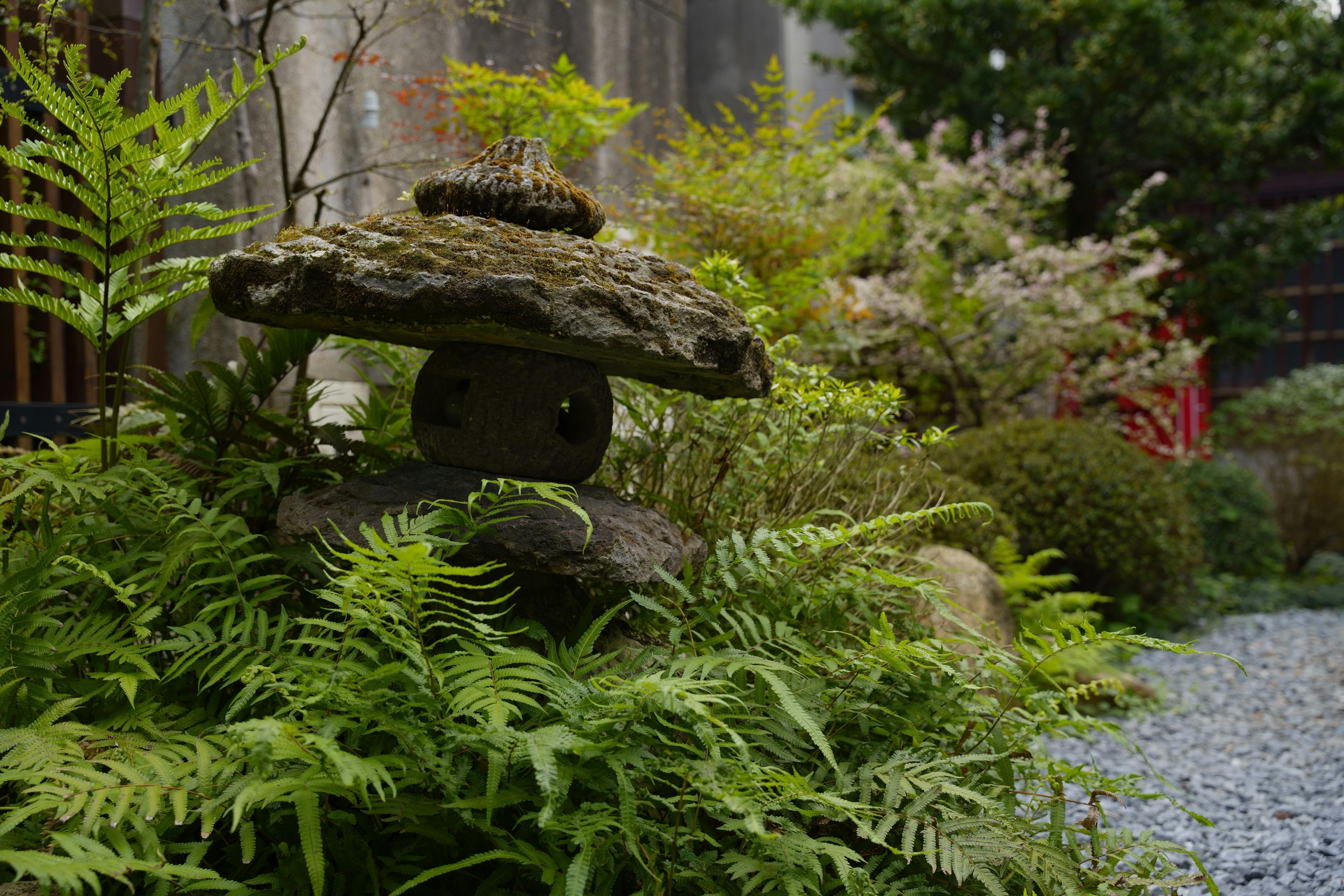 Japanese garden | Source: Pexels
