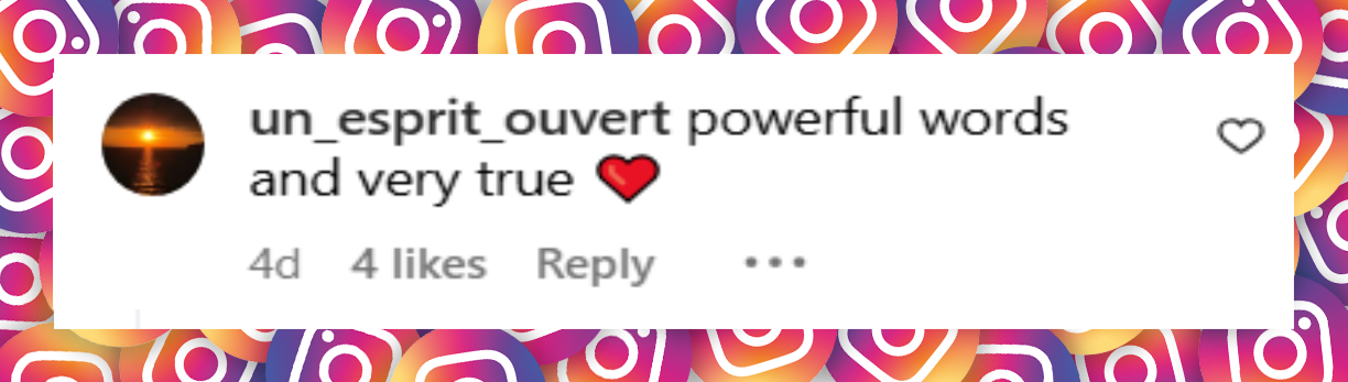 A netizen comment about Stevie Wonder's speech during his tour stop at Cardiff, Wales on July 10, 2025 | Source: Instagram/cardifflife.wales